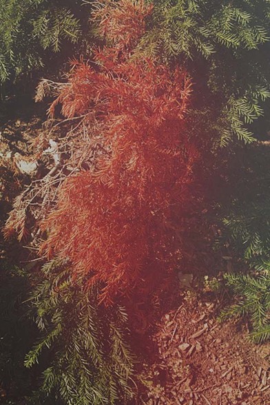 984x588-tl8LIyvOgOLeD5bI