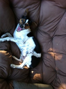 164538_10150370051115422_7293318_n