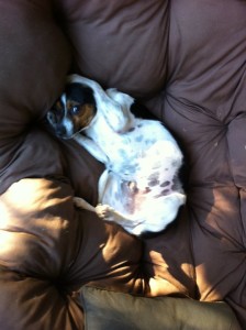 167333_10150370051945422_7899833_n