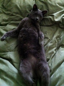 172815_10150428095185422_4524947_o