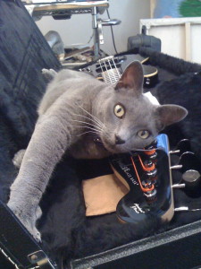 35253_10150218941250422_323291_n