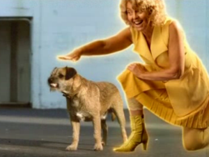 Screen Shot 2014-07-27 at 4.43.59 PM